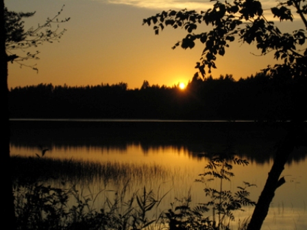 rmjarvimaisema
