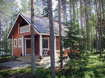 Saarimokki_kuva